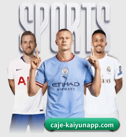 五大服务分区,信息按项目分类(6686sports)